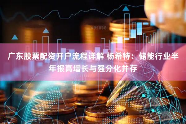 广东股票配资开户流程详解 杨希特：储能行业半年报高增长与强分化并存