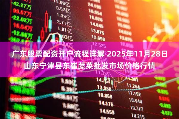 广东股票配资开户流程详解 2025年11月28日山东宁津县东崔蔬菜批发市场价格行情